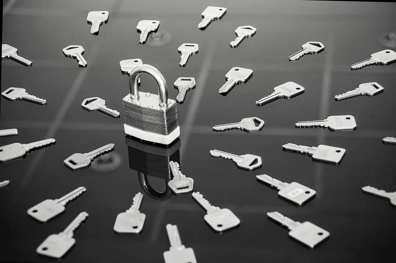 lock, keys, black and white, steel, gray key, keys, keys, keys, keys, keys. Quality control for a locksmith business: checking finished jobs and tracing callbacks
