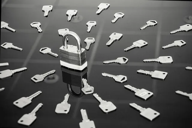 lock, keys, black and white, steel, gray key, keys, keys, keys, keys, keys. Quality control for a locksmith business: checking finished jobs and tracing callbacks