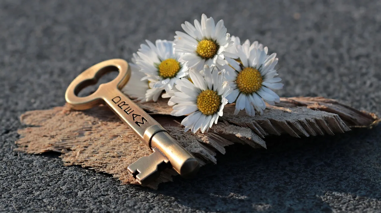 key, heart, full hd wallpaper, beautiful wallpaper, daisy, love, windows wallpaper, 4k wallpaper, wood, valentine's day, in love, symbol, romance, romantic, background image, flower wallpaper, 4k wallpaper 1920x1080, wallpaper hd, hd wallpaper, laptop wallpaper, deco, mac wallpaper, desktop backgrounds, beautiful flowers, background, friendship, cool backgrounds, to open, wallpaper 4k, close up, floral background, free background, door key, flower, key to the heart, nature, dream, template, symbolism, free wallpaper, flower background, love symbol. Package locksmith services under review: the good, the weak and the verdict