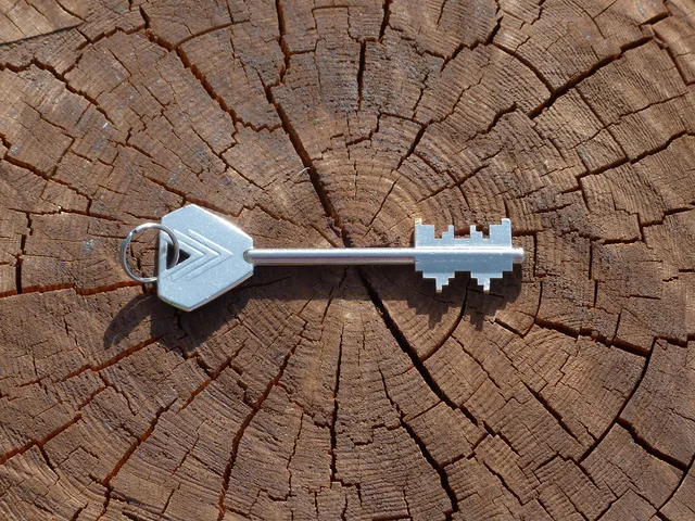 key, safe key, door key, to open, make up, blade, access, shut down, secret, individually, tool, metal, mysterious, silver, shine, beard, keys, room key, security, unlock, lock, close up, close to, castle, key collection, key, key, key, key, key, door key, access, access, secret, unlock. A locksmith guide to Los Angeles property manager accounts