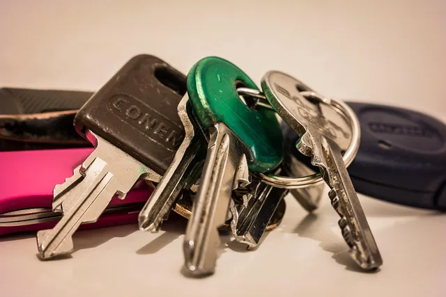 key, keychain, door key, house keys, car key, metal, glittering, iron, shut off, close up, keychain, keychain, house keys, house keys, house keys, car key, car key, car key, car key, car key. Locksmith licensing: how to verify local requirements
