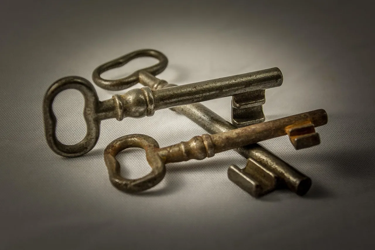 key, metal, old, close to, door key, iron, lock, shut down, key, door key, lock, lock, lock, lock, lock. Quoting a locksmith business job: template and real numbers
